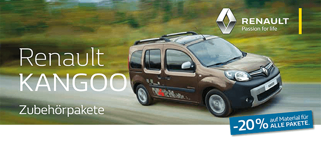 zb kangoo 1